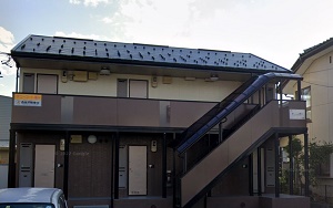 福井市の賃貸マンション / サニーコート聖IV / 外観写真