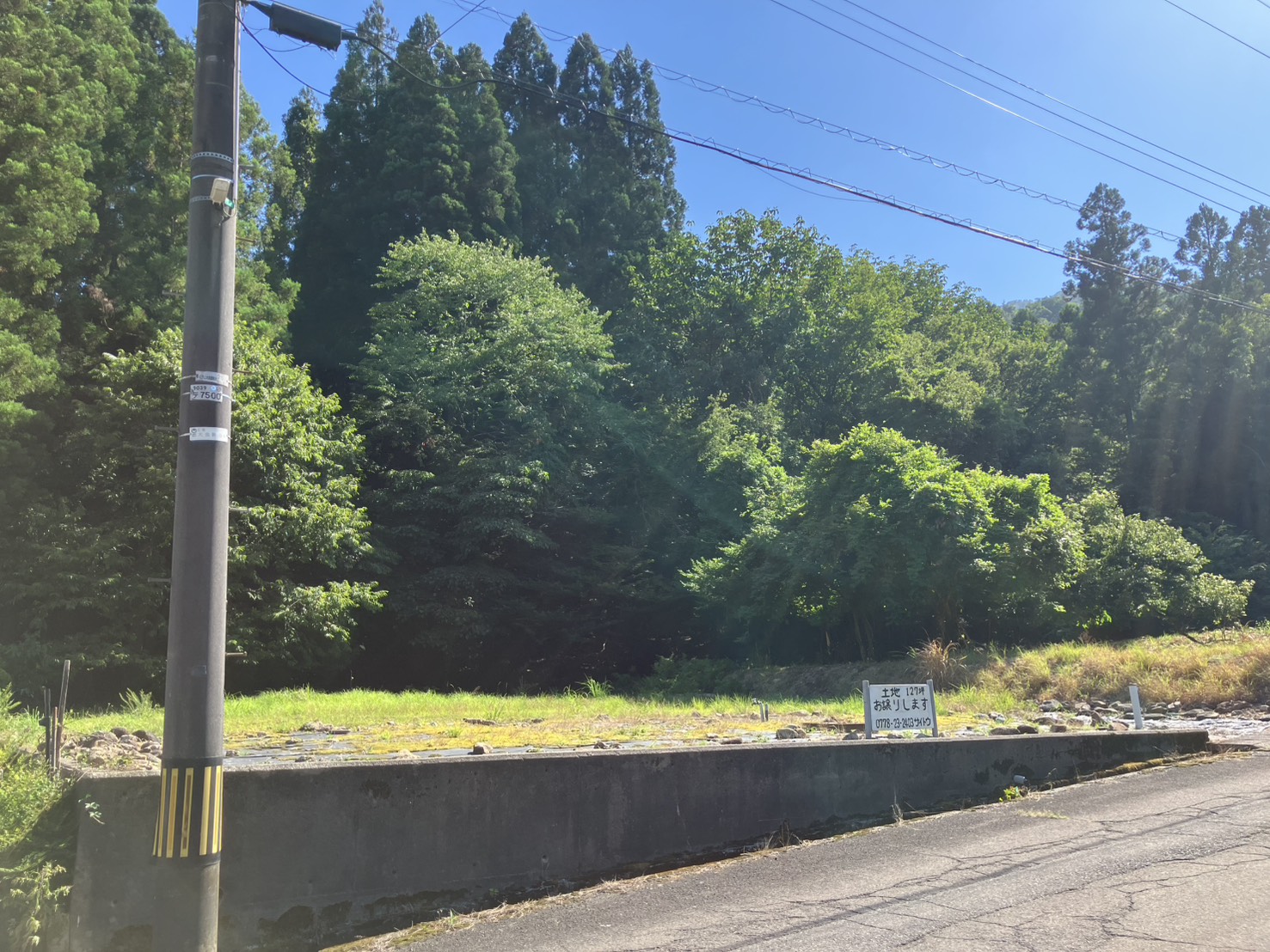 越前市(武生)の売買物件（売土地） / 売土地 越前市高森町21字彦野4番9 大虫町44字奥狭間1番6号 / 福井県越前市高森町21字彦野4番9/大虫町44字奥狭間1番6号