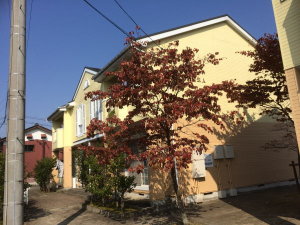 越前市(武生)の賃貸マンション / アンソレイエ瓜生A / 外観写真